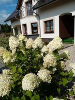 Najpiękniejsza