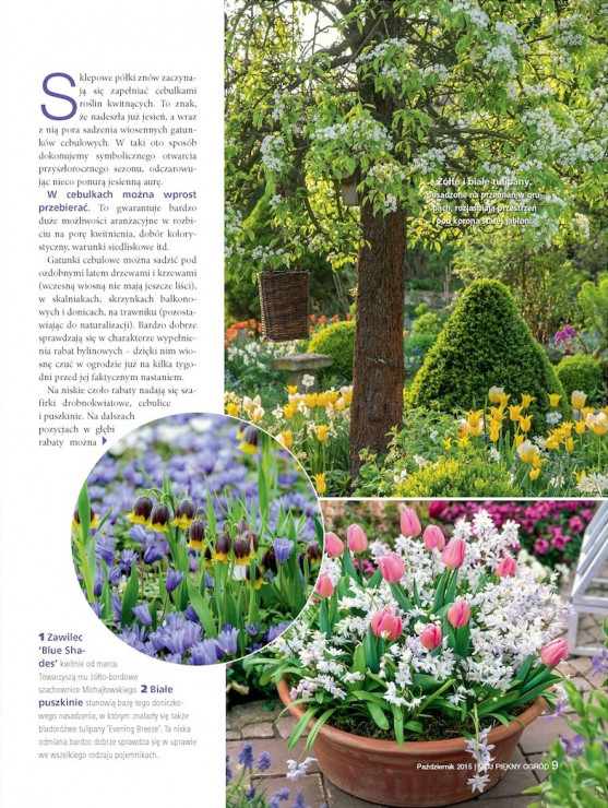03-26utrbh