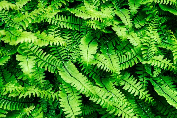 (zdj.: Fotolia.com)